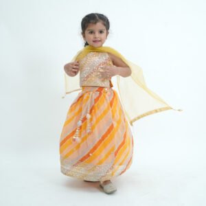 Partyware Dress For Little Queen