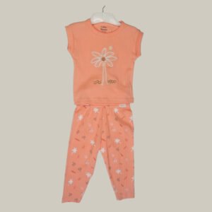 Baby Girls Cotton Printed Classic Round Neck Half Sleeve T-Shirt with Pant