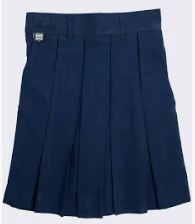 Dark Blue Skirt