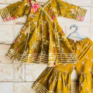 Indian Mehndi Colour Dress